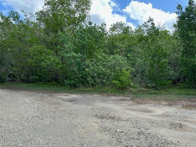 59 COON CT, EVERGLADES CITY, FL 34139, photo 1 of 3